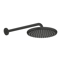 Palarie cu brat dus Grohe Tempesta 250 Mono Round  negru mat